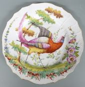 An 18th/19thC plate with Bird of Paradise decoration, possibly Chelsea, diameter 25cm