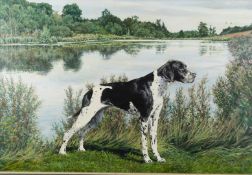 James Aldred acrylic on board 'Lady of the Lake' portrait of a dog with lake beyond, monogrammed and