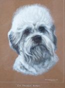 Bridget P Olerenshaw gouache portrait of a Dandie Dinmont dog, titled to lower edge CH Fruach