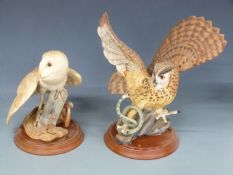 Four large porcelain Franklin Mint owl figures, Tawny Owl, Great Grey Owl, Eagle Owl and Born Owl,