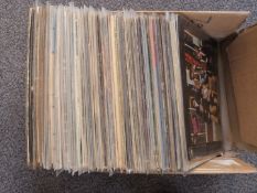 Approximately 80 albums including Neil Young, Bob Dylan, Van Morrison, Crosby Stills Nash & Young,