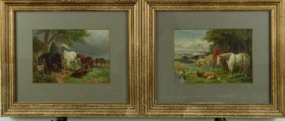 A pair of oils on board of horses, sheep and ducks, probably 19thC, in modern frames, unsigned, 13.5