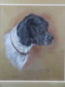 Marjorie Cox (1915-2003) pastel portrait of a dog 'Comfort', signed, titled and dated 1987, 46 x