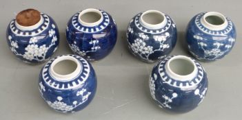 Six Chinese blue and white prunus flower ginger jars, one with maker's mark to base, largest 11cm