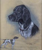 Marjorie Cox (1915-2003) pastel portrait of a Pointer dog 'Annabel', signed and dated 1968 lower