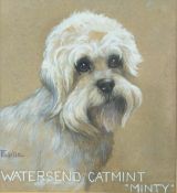 Fadelle gouache portrait of a Dandie Dinmont dog, titled to lower edge Watersend Catmint 'Minty',