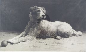 Herbert Thomas Dicksee (1862-1942) signed engraving 'Ready!', recumbent terrier, published by
