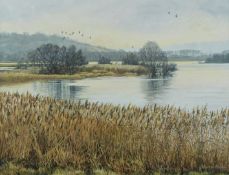 Martin Ridley acrylic on board river scene signed lower right, 34 x 44cm and a Martin Ridley print