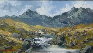 Charles Wyatt Warren (1908-1983) oil or acrylic on board, Snowdon from the Gwrhyd, stream with