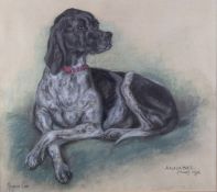 Marjorie Cox (1915-2003) pastel portrait of a Pointer dog 'Annabel', signed, titled and dated