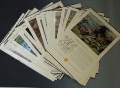 Vintage Shell posters including wildlife, region specific etc, each 75 x 51cm