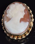 A 9ct gold brooch set with a cameo, 2.6 x 2cm, 4.6g
