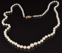 A single strand of cultured pearls with 9ct gold clasp, 50cm long