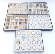 A collection of specimen gemstones including peridot, quartz, glass, apatite, opal, aquamarine,