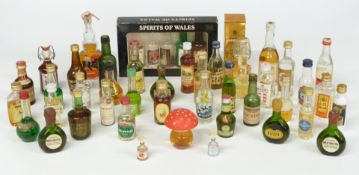 Approximately 50 alcoholic miniatures including 'Spirits of Wales' in presentation box, Irish