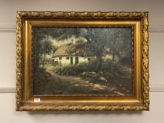 Continental school : thatched cottage, oil on canvas,