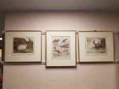 After Archibold Thorburn : The Mountain Hare, colour print, 28 cm x 24 cm,