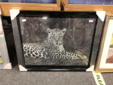A contemporary framed picture of a leopard