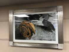 A golden rose picture