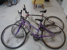 A gent's Focus Raven mountain bike and a Universal Rampage bike