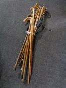 A bundle of 20th century walking sticks and parasols