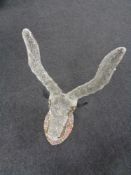 A paper filigree animal head.