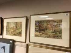 Mid twentieth century school : Woodland study, watercolour, dated 1950, with unidentified monogram,