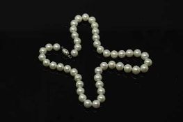 A cultured pearl necklace with sterling silver clasp, length 42 cm.