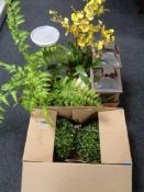 A box of hurricane lamps, jardiniere on stand,