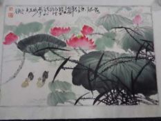 A mid century Japanese watercolour scroll depicting water lily, boxed.
