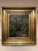 Continental School : Woodland, oil on panel, framed.