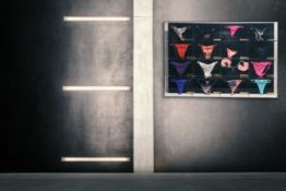 Maximilian Wiedemann Trophy Cabinet