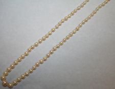 Graduated Pearl Necklace with Gold Clasp