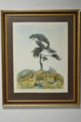 Water Colour Of Tree 1981.