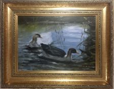 Ducks In A Reed Pond, Oil Painting, Indistinctly Signed