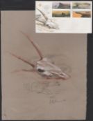 South West Africa / Namibia 1977  Colour Artwork Of An Antelope Skull