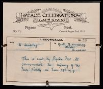 South Africa 1919 (Aug 2) Pigeongram Carried Within Cape Town