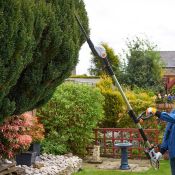 (V323) 20V Max. Cordless Pole Hedge Trimmer 45cm dual-action laser cut blades operate a fast c...