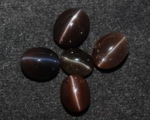 25.72 Ct Natural Spectrolite Cat's Eye
