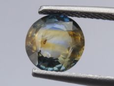 1.83 CT IGI Certified Sapphire