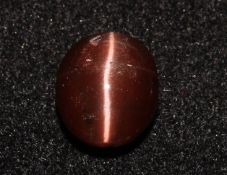 5.00 CT IGI Scapolite Cats Eye