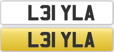 L31 YLA