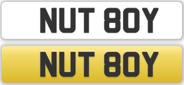 NUT 80Y