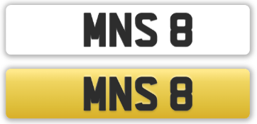 MNS 8