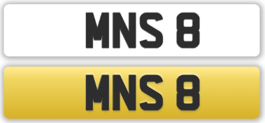MNS 8
