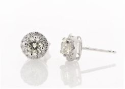 18k White Gold Single Stone With Halo Setting Earring (1.01) 1.29 Carats