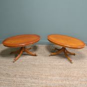 Pair of Regency Design Side Tables / Coffee Tables