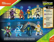 Carton of Teenage Mutant Ninja Turtle lucky bags Carton of Teenage Mutant Ninja Turtle lucky bags