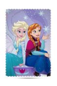 10pcs assorted Frozen fleeces 10pcs assorted Frozen fleeces brand new and sealed assorted designs