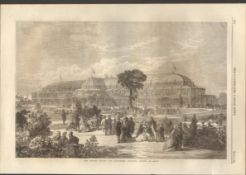 The Winter Gardens Dublin Antique Print 1865